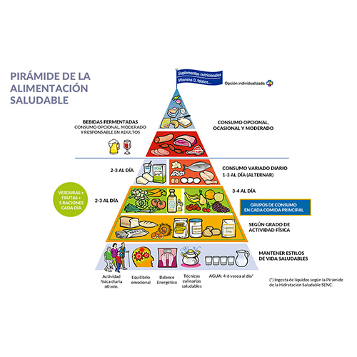 La pirámide nutricional: un factor evolutivo clave en la historia del ser humano